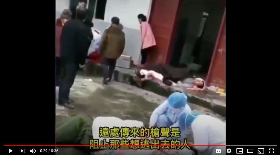 地上躺着多具尸体，远处枪声不断
